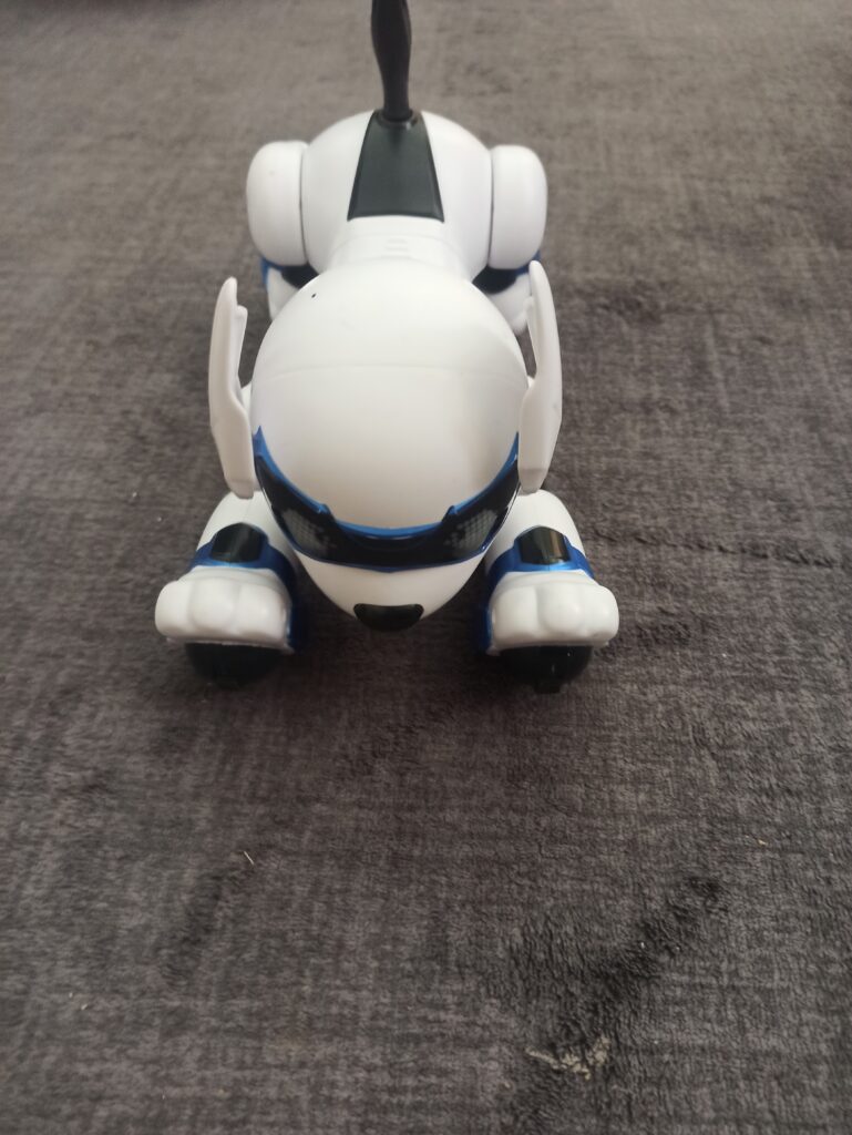 IMG_20260712_115303